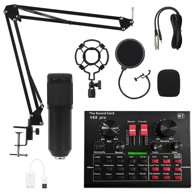 Professional Condenser Microphone