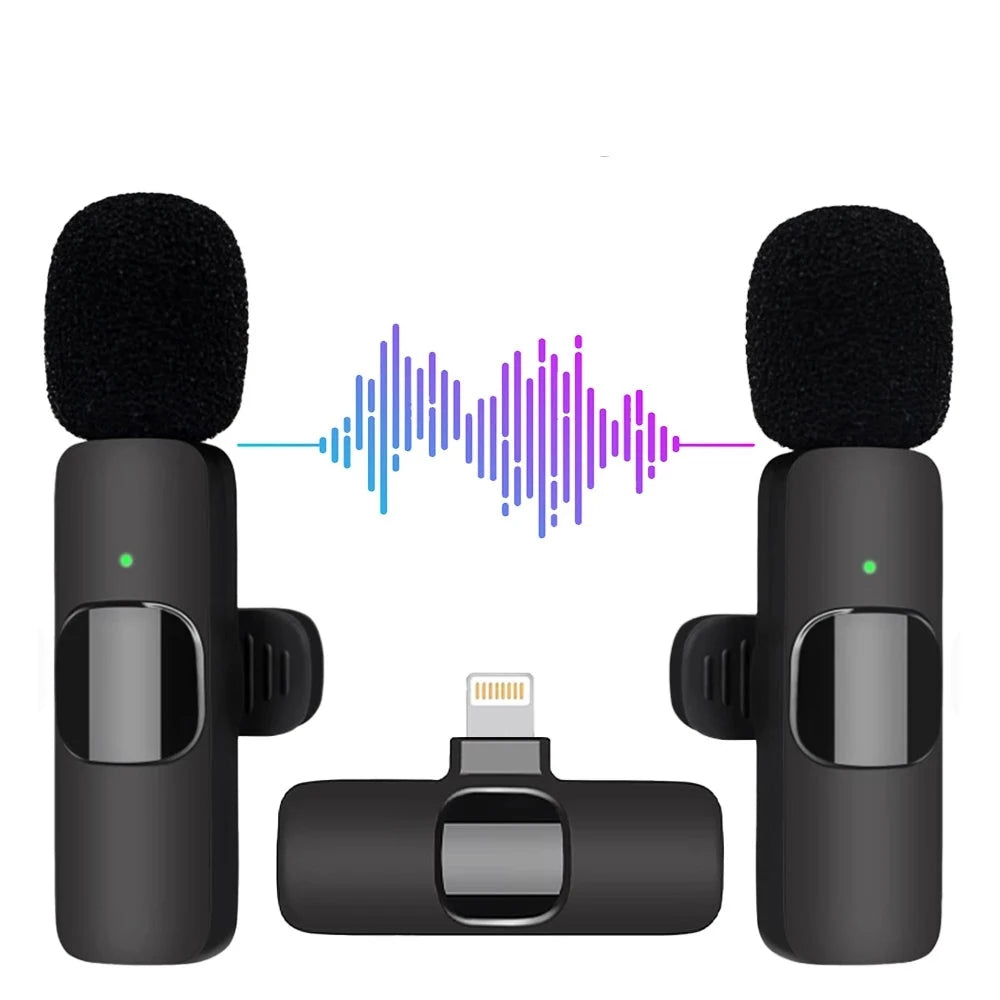 Portable Wireless Mini Microphone