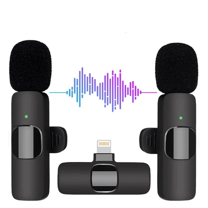 Portable Wireless Mini Microphone