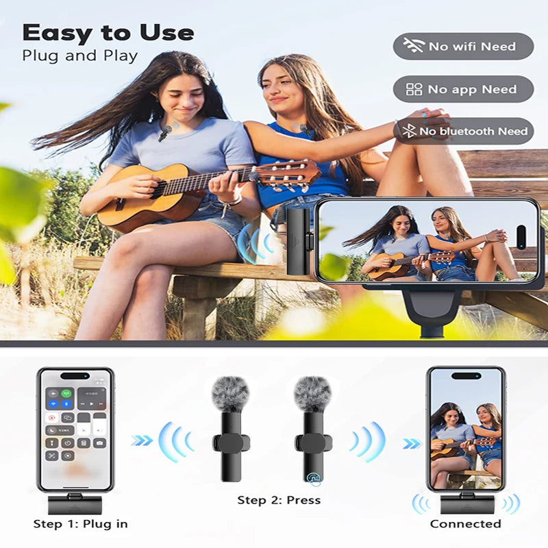 Portable Wireless Microphone