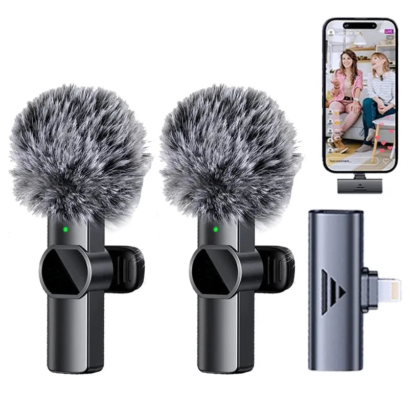 Portable Wireless Microphone