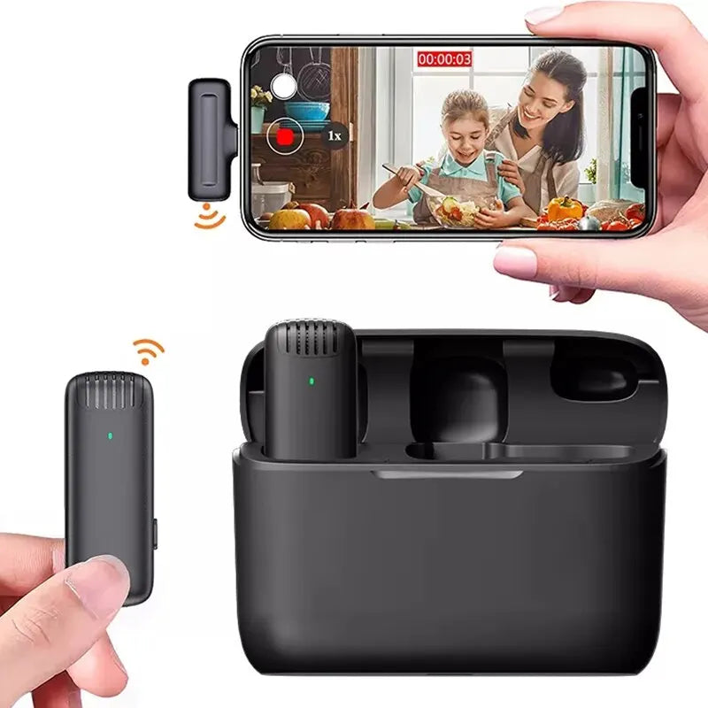 Portable Wireless Microphone